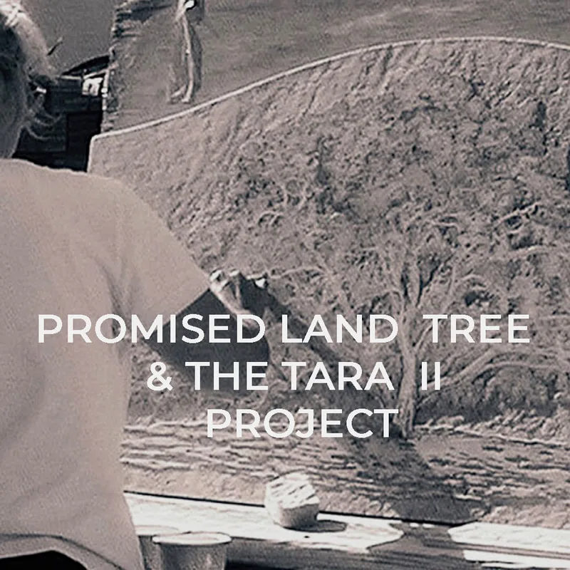 Promised Land Tree 
Artist Jamie Santaniello
Oprah Winfrey Kitchen Project
jamiesantaniello.com
Copyright©JS2003